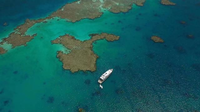 中东旅业“向东看”| 中国市场成沙特 “2030愿景”关键