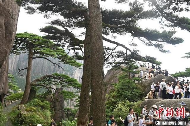 黄山风景区迎来暑期旅游高峰