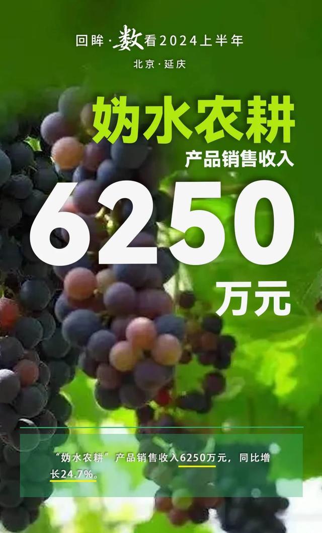 数看延庆2024上半年：GDP同比增长5%