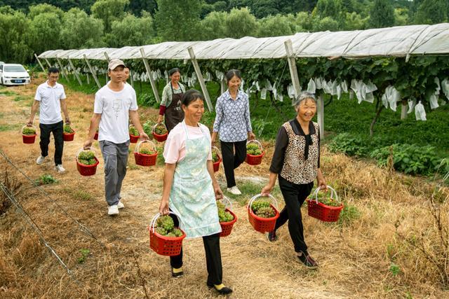 贵州黔西：农旅融合助力乡村振兴