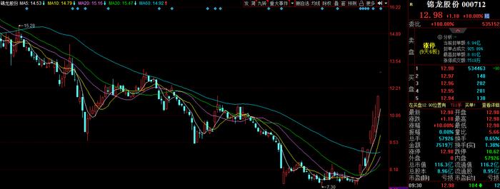 锦龙股份一字涨停实现9天6板：正式公开挂牌转让东莞证券20%股份