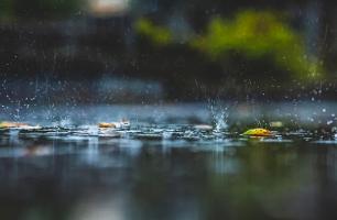 沈阳人请注意！今天大雨、局部暴雨！城区主要降水时段是……