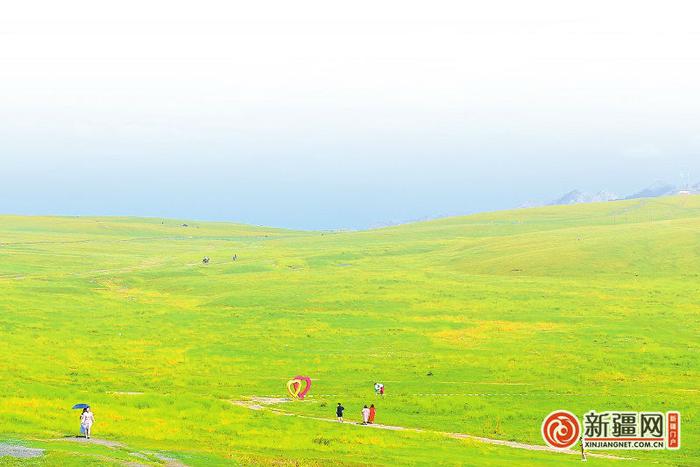 【爱新疆 游家乡】逛逛巷道集市，去采摘雪菊，体验摩托车越野赛…… 这个周末来场不一样的出游