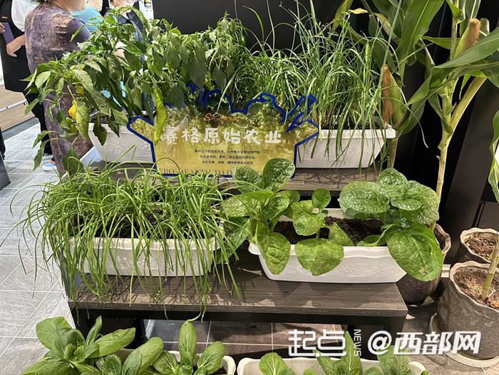 赛格自有农场的产品。