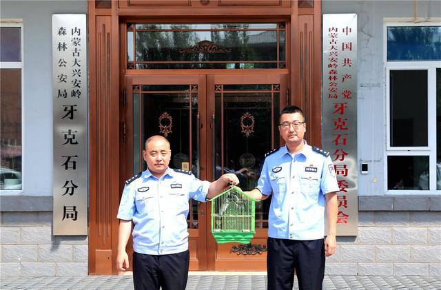 民警成功救助国家“三有”保护动物白腰雨燕