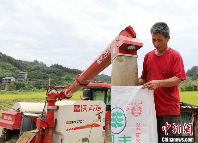 广西三江：农机开镰助收稻