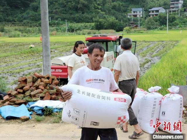 广西三江：农机开镰助收稻