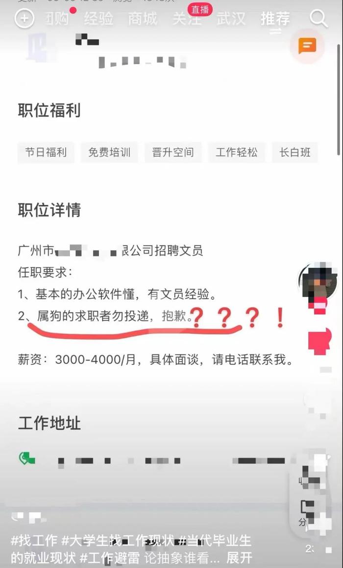 一公司不招聘属狗的求职者…网友：“我又没有狂犬病！”