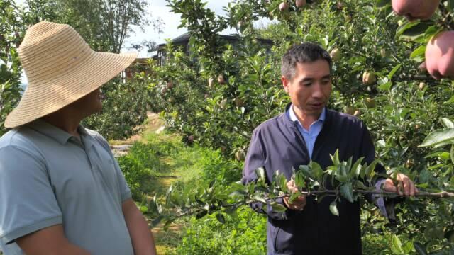 【节目单】《劳模纪录工程》丨深耕热土 点亮助农之光