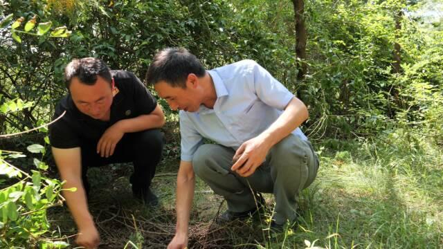 【节目单】《劳模纪录工程》丨深耕热土 点亮助农之光