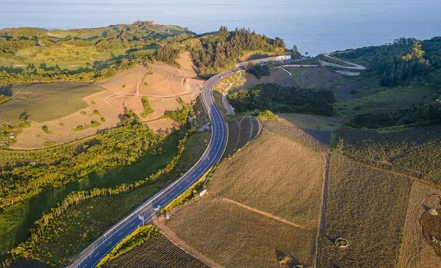 打卡海南万宁旅游公路 感受椰风海韵