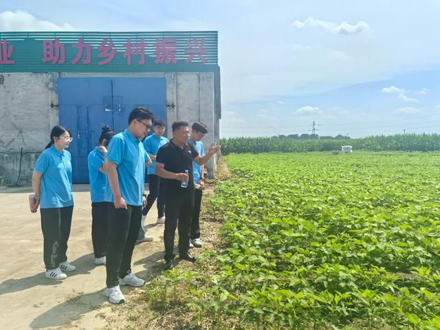 济宁籍大学生暑期回乡忙，趁“热”三下乡！