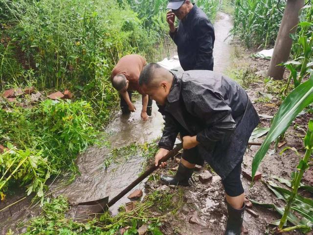 浑江区：以“迅”应“汛”战风雨，打好防汛“组合拳”！