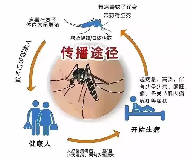 发病比断骨还痛？初期症状和流感相似，上海多区发布提醒