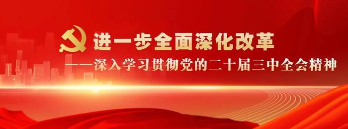 学习贯彻二十届三中全会精神⑧丨确保党始终具备强大领导水平和长期执政能力