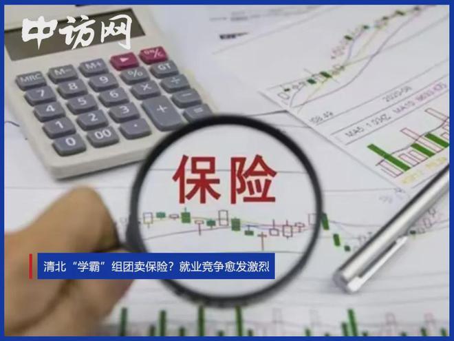 清北“学霸”组团卖保险？就业竞争愈发激烈