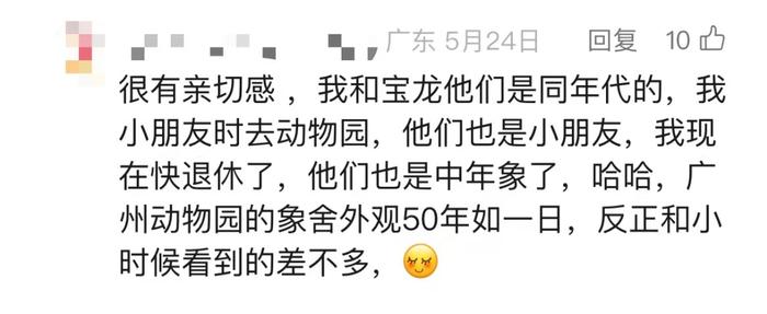 再见，广州动物园的大象宝龙！曾陪伴几代街坊成长