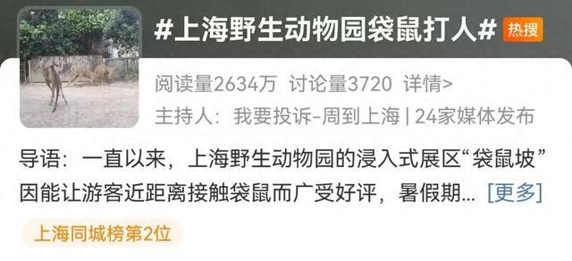 游客爆料：在上海野生动物园，被袋鼠打伤！还有人被扇耳光？园方最新回应