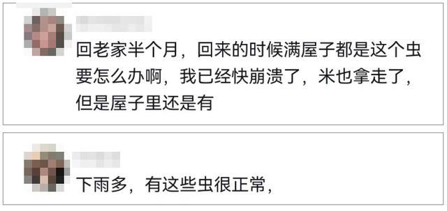 杭州姑娘被吓坏，眼前密密麻麻！很多人家中都有，这种情况必须扔