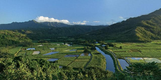 下饭菜届的三好生，吉香居重新定义什么是“好泡菜”