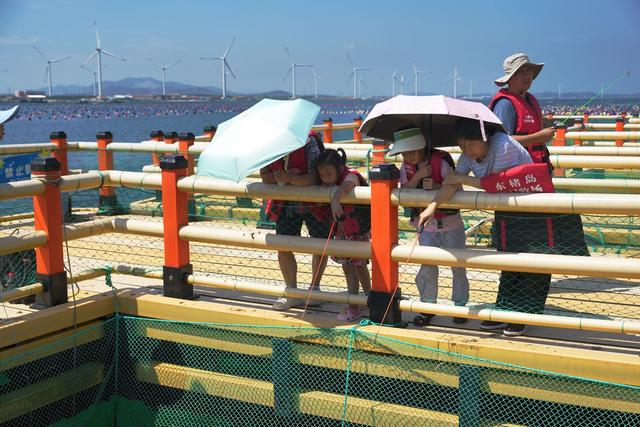 记录中国｜威海荣成，美丽海湾建设如何提升生态旅游新体验？