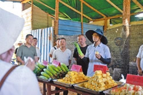 良种上高山 托起振兴梦——闽侯高山农业科技示范基地见闻