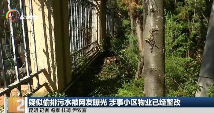 “水量很大很臭”！昆明一小区凌晨排污水被曝光，水务局：整改