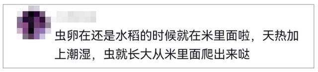 杭州姑娘被吓坏，眼前密密麻麻！很多人家中都有，这种情况必须扔