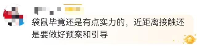 游客爆料：在上海野生动物园，被袋鼠打伤！还有人被扇耳光？园方最新回应