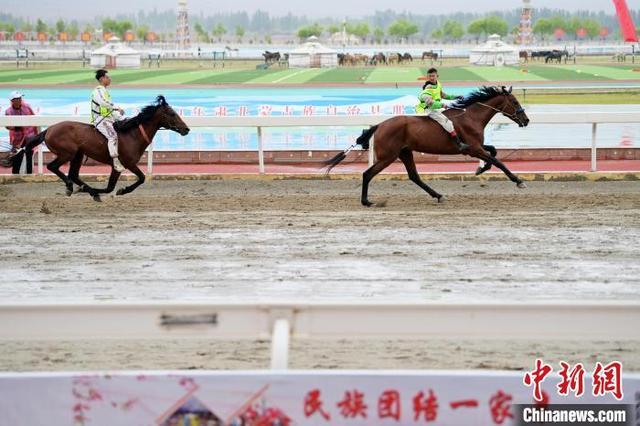 甘肃肃北2024年那达慕开幕