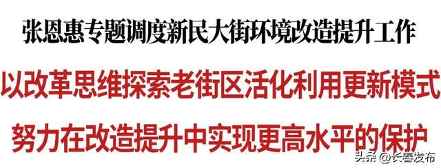 张恩惠专题调度新民大街环境改造提升工作