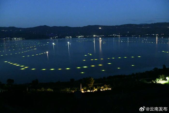 程海开湖8天捕捞银鱼600余吨