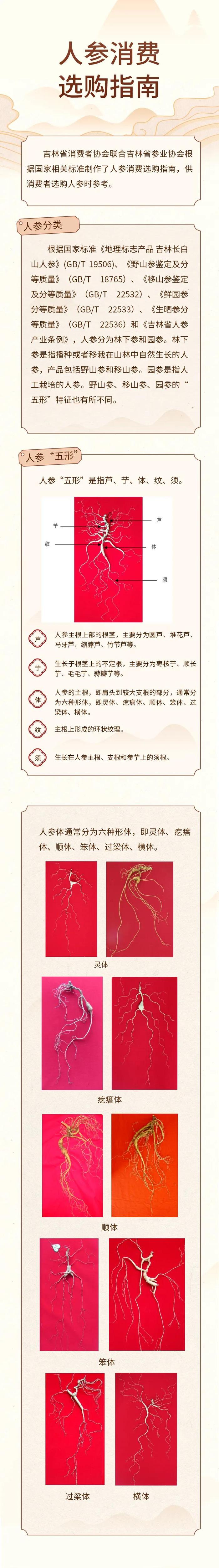 做优做强特色产业和标志性产品 我省发布人参消费选购指南