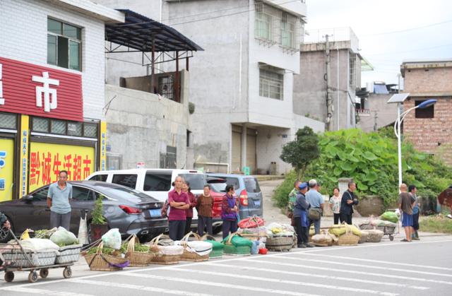 贵阳“惠农专线” 破解农户运“蔬”难题 “小车轮”承载“大民生”