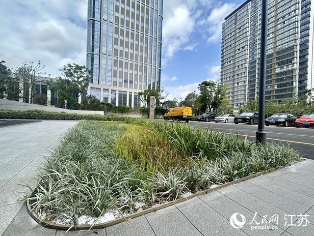 江苏扬州：科技园区建起雨水花园