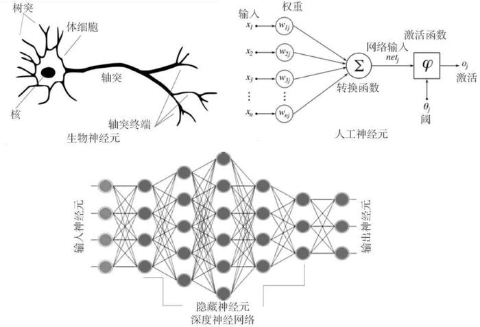 在这迷人又壮美的科学领域，"中国玩家"能奋起直追吗？