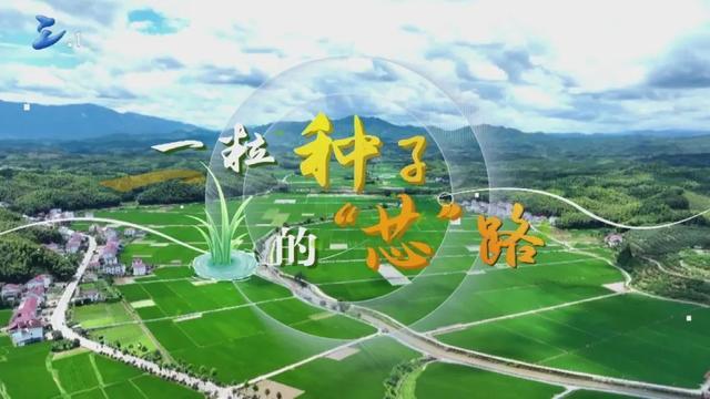 三明市融媒体中心成立5周年，开创地市媒体融合新路径