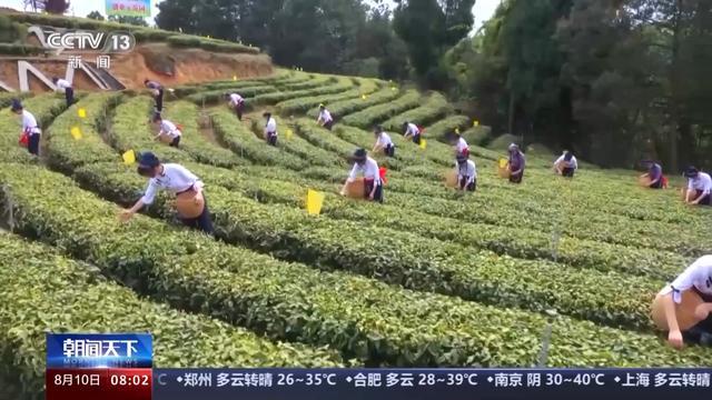 守底线、促增收 我国脱贫攻坚成果持续巩固拓展