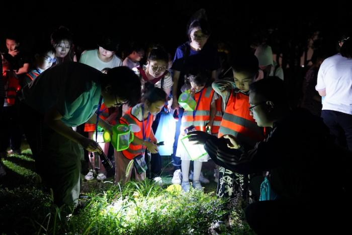 夜上海遛娃的City方式：艺术夜游、探猛兽、看植物睡觉