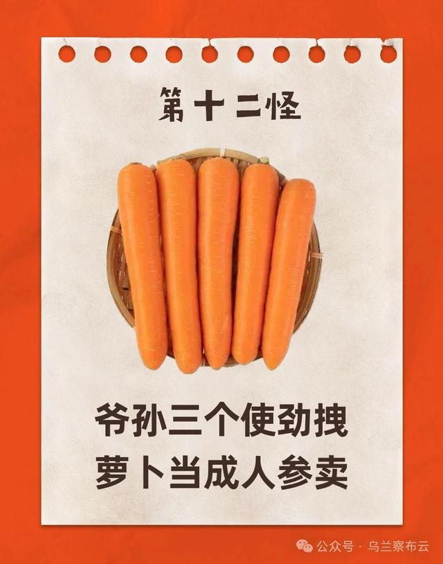 “乌兰察布十八怪”发布，看看有你家乡的特产吗