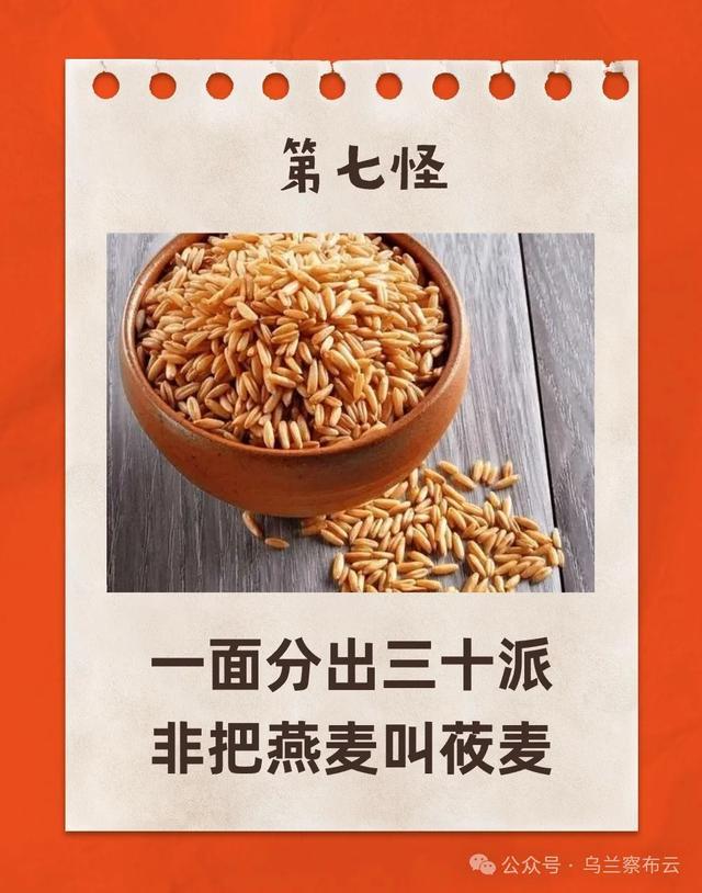 “乌兰察布十八怪”发布，看看有你家乡的特产吗