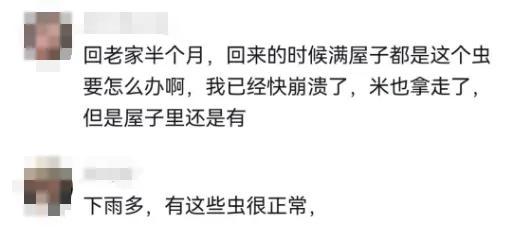 头皮发麻！大量黑虫冒出，近期频发……出现这种情况必须扔