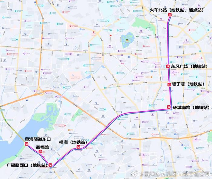 昆明公交开行6条免费专线，方便市民游客七夕到滇池东岸喝咖啡、逛嘉年华