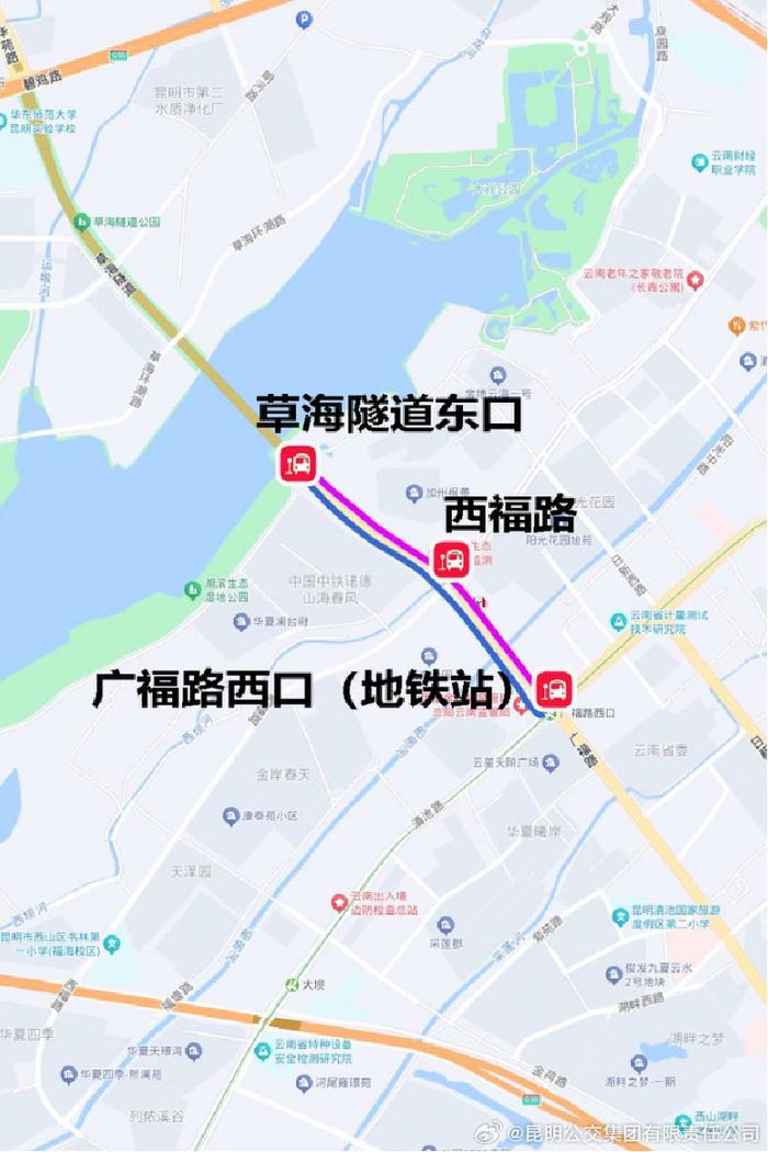 昆明公交开行6条免费专线，方便市民游客七夕到滇池东岸喝咖啡、逛嘉年华