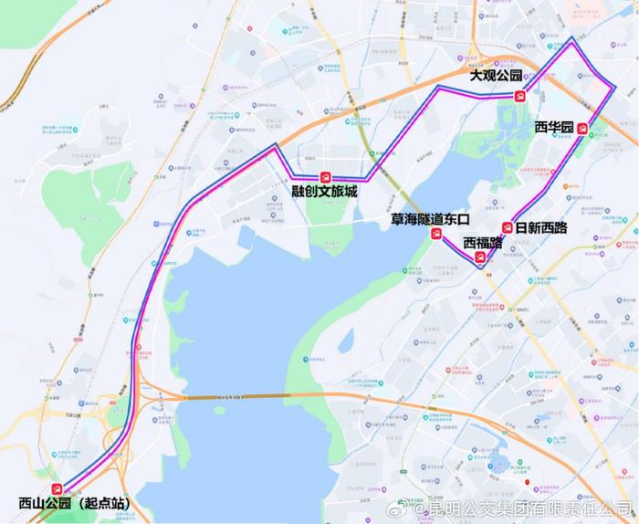 昆明公交开行6条免费专线，方便市民游客七夕到滇池东岸喝咖啡、逛嘉年华