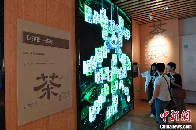 （聚焦中国高质量发展）福建武夷山：茶产业高质量发展