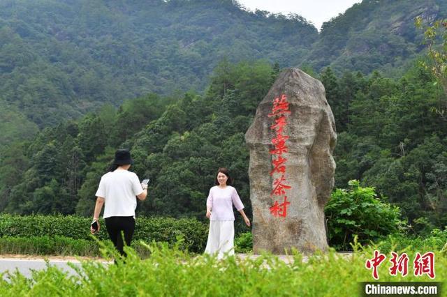 （聚焦中国高质量发展）福建武夷山：茶产业高质量发展