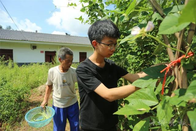 母亲智力缺陷，男孩今年考入双一流大学！他说要撑起这个家