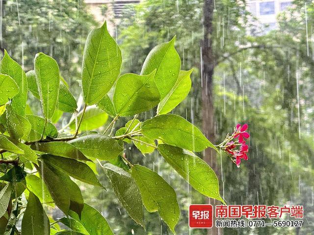 暴雨预警继续发布！未来3天广西仍多降雨