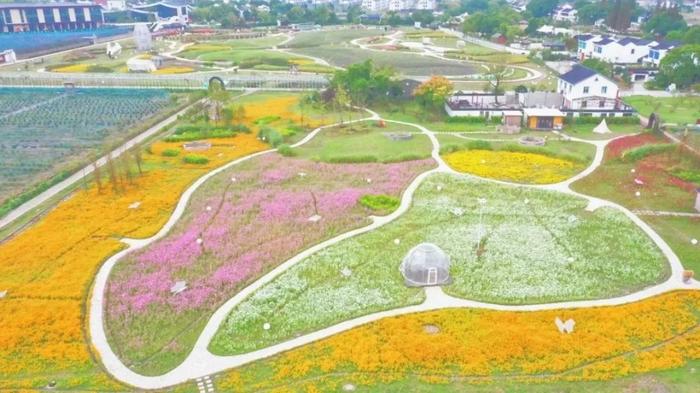 日出、星空、花海、瀑布……盘点浙江绝美露营地，总有一款适合你！